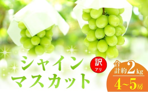 【2026年 先行予約】【訳あり品】 シャインマスカット 4～5房 合計約2kg 常温配送 ぶどう 葡萄 フルーツ 果物 岡山 岡山のぶどう 岡山の果物 食後 デザート 産地直送 大粒 皮ごと 種無し 