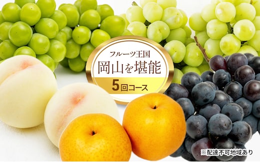 フルーツ 定期便 2026年 先行予約 フルーツ王国 岡山を堪能 5回コース 桃 もも 葡萄 ぶどう 梨 なし岡山県産 国産 果物 セット ギフト 
