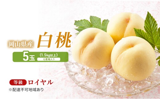 桃 2026年 先行予約 白桃 5玉（1.5kg以上） 等級：ロイヤル 化粧箱入り もも モモ 岡山県産 国産 フルーツ 果物 セット ギフト 