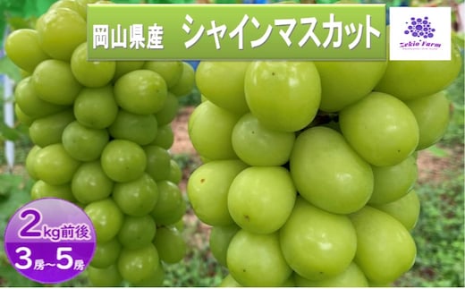シャインマスカット 2kg 3房～5房 葡萄 フルーツ 岡山 高梁市産 ぜきお農園 ぶどうclub 2026年 先行予約