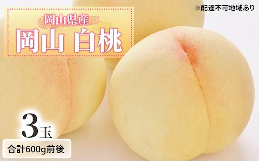 桃 【2026年 先行予約】 白桃 3玉入り 合計600g前後 もも 岡山県産 国産 フルーツ 果物 ギフト
