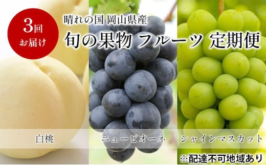 フルーツ 定期便 【2026年 先行予約】 晴れの国 旬の 果物 3回お届け便 岡山 白桃 2kg(5玉～7玉) ニュー ピオーネ 4房2kg以上 シャインマスカット 4房(2.4kg以上) 岡山県産 国産 セット ギフト