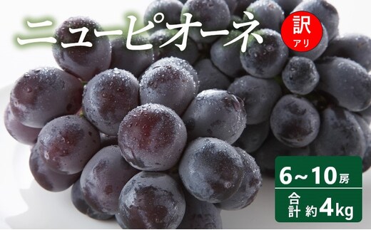 【2026年 先行予約】【訳あり品】 ニューピオーネ 6～10房 合計約4kg 常温配送 ピオーネ ぶどう 葡萄 フルーツ 果物 岡山 高梁市