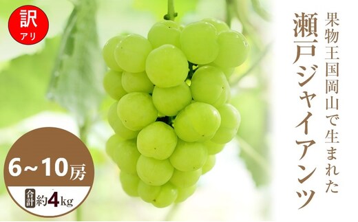 【2026年 先行予約】【訳あり品】 瀬戸ジャイアンツ 6～10房 合計約4kg 常温配送 ぶどう 葡萄 フルーツ 果物 岡山 高梁市