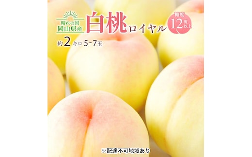 桃 2026年 先行予約 岡山 白桃 ロイヤル 約2kg 5～7玉入り もも モモ 岡山県産 国産 フルーツ 果物 ギフト 橋田商店