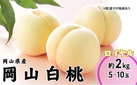桃 2026年 先行予約 岡山 白桃 ロイヤル 5～10玉 2kg 岡山県産 JAおかやまのもも モモ 岡山県産 国産 フルーツ 果物 ギフト
