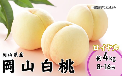 桃 2026年 先行予約 岡山 白桃 ロイヤル 8～16玉 4.0kg 岡山県産 JAおかやまのもも モモ 岡山県産 国産 フルーツ 果物 ギフト