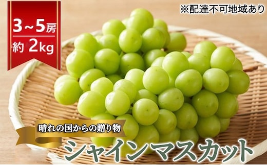 2026年 早期受付 ぶどう 晴れの国 シャインマスカット 2kg（3～5房）化粧箱入り 岡山県 高梁市 ブドウ 葡萄 果物 フルーツ