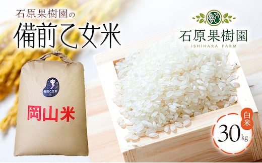 米 令和7年産 石原果樹園の備前乙女米 白米 30kg×1袋 ※11月上旬～順次発送予定 お米 精米 白米 ライス 乳酸菌栽培 岡山県 おにぎり お弁当