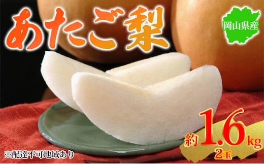 梨 2025年先行予約 岡山県産 あたご梨 約1.6kg 2玉 お届け 11月下旬～12月中旬
