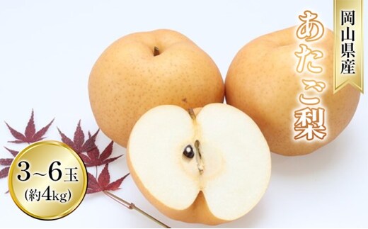梨 2025年 先行予約 あたご梨 約4kg 3～6玉入り なし ナシ 岡山県産 国産 フルーツ 果物 ギフト 和梨 デザート 食後 日本一の大きさ 大玉 シャリシャリ