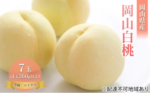 桃 2026年 先行予約 岡山 白桃 7玉 約1.8kg 等級：ロイヤル（1玉 260g以上） もも モモ 岡山県産 国産 フルーツ 果物 ギフト