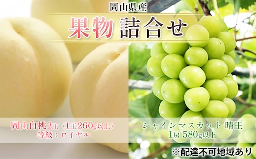 ぶどう 2026年 先行予約 果物 詰合せ 岡山 白桃 2玉 等級：ロイヤル（1玉260g以上） シャイン マスカット 晴王 1房 580g以上 もも 葡萄 岡山県産 国産 フルーツ 果物 ギフト