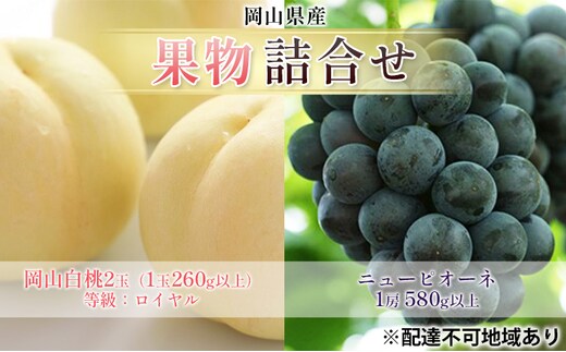 ぶどう 2026年 先行予約 果物 詰合せ 岡山 白桃 2玉 等級：ロイヤル（1玉260g以上） ニュー ピオーネ 1房 580g以上 もも 葡萄 岡山県産 国産 フルーツ 果物 ギフト