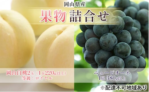 ぶどう 2026年 先行予約 果物 詰合せ 岡山 白桃 2玉 等級：ロイヤル（1玉220g以上） ニュー ピオーネ 1房 380g以上 もも 葡萄 岡山県産 国産 フルーツ 果物 ギフト