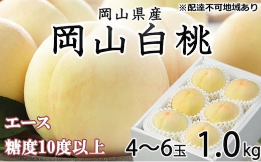 桃 2026年 先行予約 岡山 白桃 エース 4～6玉 約1kg JAおかやまのもも（早生種・中生種） もも モモ 岡山県産 国産 フルーツ 果物 ギフト