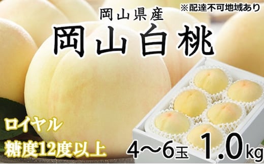 桃 2026年 先行予約 岡山 白桃 ロイヤル 4～6玉 約1kg JAおかやまのもも（早生種・中生種） もも モモ 岡山県産 国産 フルーツ 果物 ギフト