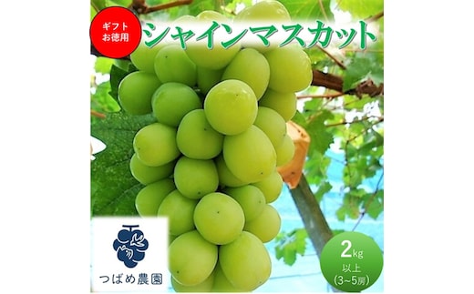 2026年 早期受付 ぶどう ギフトお徳用 シャインマスカット 2kg以上(3～5房) 数量限定 岡山県 高梁市産