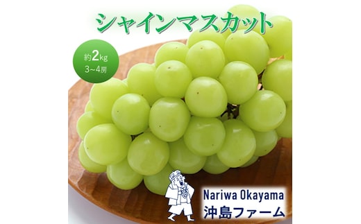 2026年 早期受付 ぶどう シャインマスカット 約2kg（3～4房）岡山県高梁市産 沖島ファーム 化粧箱入り 葡萄 ブドウ 贈答用