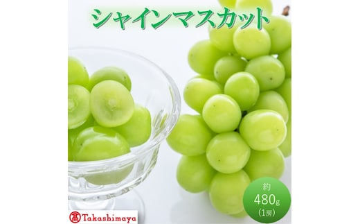 2026年 早期受付【高島屋選定品】シャインマスカット 約480g×1房 岡山県高梁市産 個装箱入り 葡萄 ブドウ 贈り物
