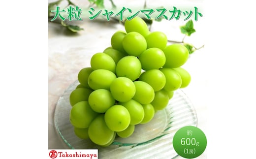 2026年 早期受付【高島屋選定品】大房 シャインマスカット 約600g×1房 岡山県高梁市産 個装箱入り 葡萄 ブドウ 贈り物