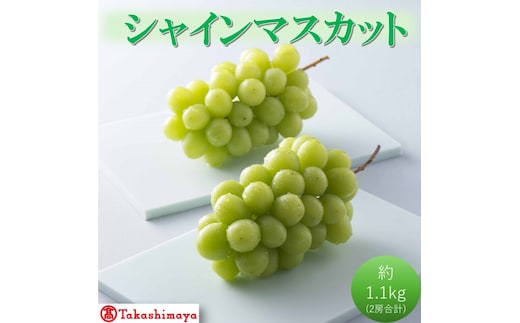 2026年 早期受付【高島屋選定品】シャインマスカット 約1.1kg（2房合計）岡山県高梁市産 個装箱入り 葡萄 ブドウ 贈り物