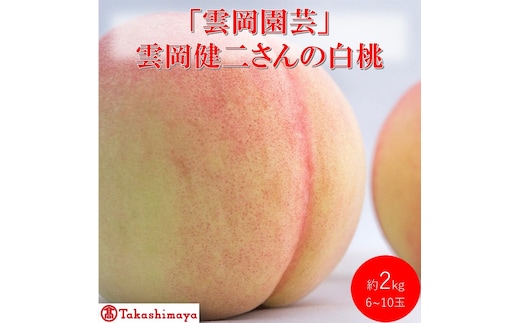 2026年 早期受付【高島屋選定品】「雲岡園芸」雲岡健二さんの白桃 6～10玉（約2kg） もも モモ 岡山県産 国産 フルーツ 果物 ギフト