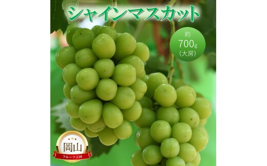2026年 早期受付 高梁市産 シャインマスカット 大房 (約700g) ぶどう ブドウ 葡萄 果物 フルーツ
