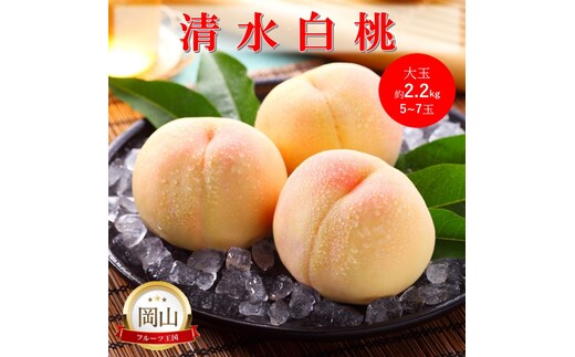 2026年 早期受付 岡山県産 清水白桃 大玉 (約2.2kg) 5～7玉 桃 白桃 もも 果物 フルーツ