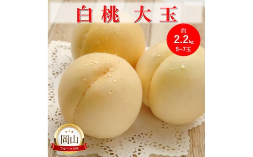 2026年 早期受付 岡山県産 白桃 大玉 (約2.2kg) 5～7玉 桃 もも 果物 フルーツ