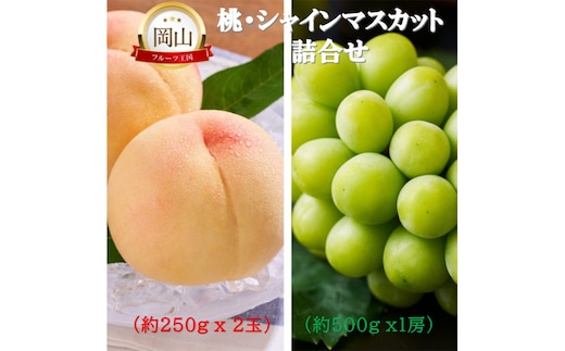 2026年 早期受付 岡山県産 桃 (約250g×2玉)・シャインマスカット(約500g×1房) 詰合せ 桃 シャインマスカット 果物 フルーツ