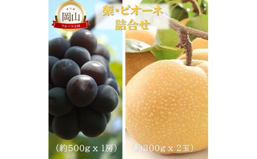 2026年 早期受付 岡山県産 岡山の梨(約300g×2玉)・ピオーネ(約500g×1房) 詰合せ 梨 ピオーネ ぶどう ブドウ 葡萄 果物 フルーツ
