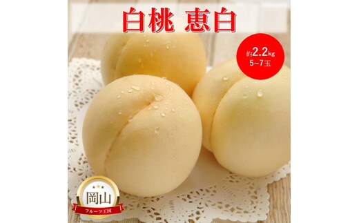 2026年 早期受付 岡山県産 白桃 恵白 (約2.2kg) 5～7玉 桃 もも 果物 フルーツ