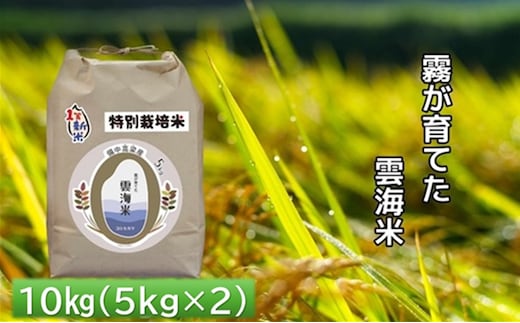 霧が育てた雲海米 特別栽培米 10kg (5kg×2) 雲海米 精米 コシヒカリ 米 コメ お米 おこめ 白米 こしひかり 岡山 高梁市