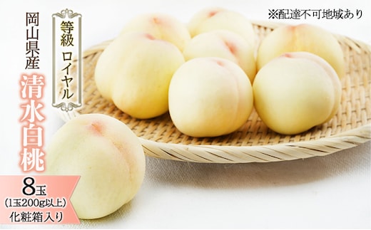 桃 2026年 先行予約 清水 白桃 8玉 （1玉200g以上） 等級：ロイヤル 化粧箱入り もも モモ 岡山県産 国産 フルーツ 果物 ギフト 贈答品 糖度12.0度以上