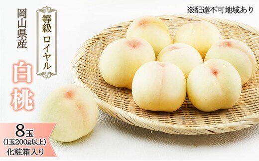 桃 2026年 先行予約 白桃 8玉 （1玉200g以上） 等級：ロイヤル 化粧箱入り もも モモ 岡山県産 国産 フルーツ 果物 ギフト 贈答品 糖度12.0度以上