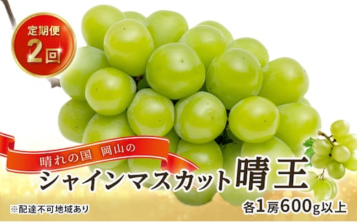 ぶどう 2026年 先行予約 晴れの国 岡山の シャイン マスカット 晴王 定期便 2回（各1房600g以上） 葡萄 岡山県産 国産 フルーツ 果物 ギフト