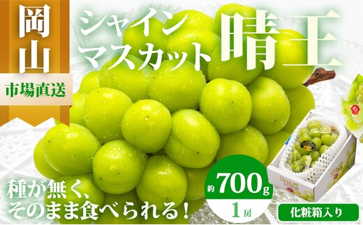 ぶどう 2026年 先行予約 シャイン マスカット 晴王 1房 700g以上 化粧箱入り マスカット ブドウ 葡萄 岡山県産 国産 フルーツ 果物 ギフト 高級ぶどう 大粒 種なし 贈答品