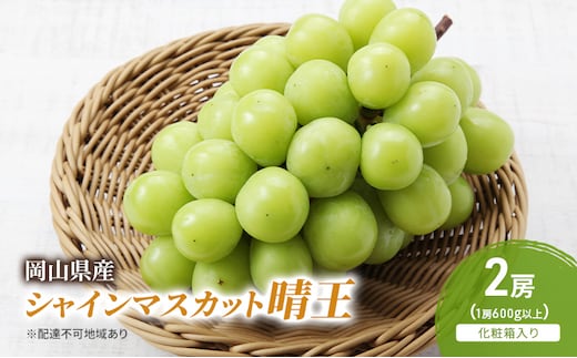 ぶどう 2026年 先行予約 シャインマスカット晴王 2房(1房600g以上) 化粧箱入り ブドウ 葡萄 岡山県産 国産 フルーツ 果物 ギフト