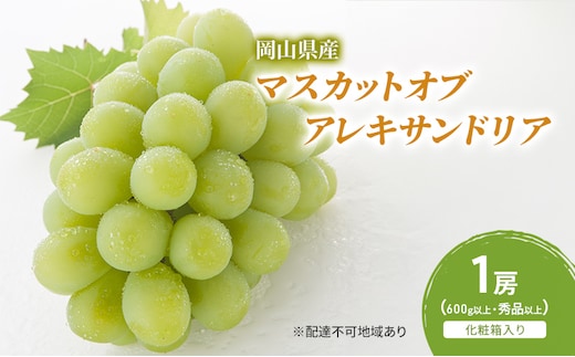ぶどう 2026年 先行予約 マスカットオブアレキサンドリア 1房(600g以上・秀品以上) 化粧箱入り