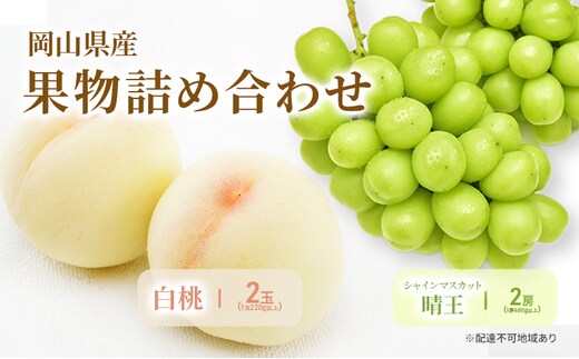 もも ぶどう 2026年 先行予約 詰合/白桃 2玉(1玉220g以上)・シャインマスカット 晴王 2房(1房480g以上) 化粧箱入り 岡山県産 国産 フルーツ 果物 ギフト