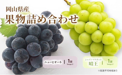 ぶどう 2026年 先行予約 詰合/ニューピオーネ 1房(480g以上)・シャインマスカット 晴王 1房(480g以上) 化粧箱入り ブドウ 葡萄 岡山県産 国産 フルーツ 果物 ギフト