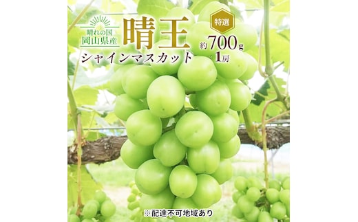 ぶどう 2026年 先行予約 シャイン マスカット 晴王 特選 1房 約700g 大粒 種無し ブドウ 葡萄 岡山県産 国産 フルーツ 果物 ギフト 橋田商店
