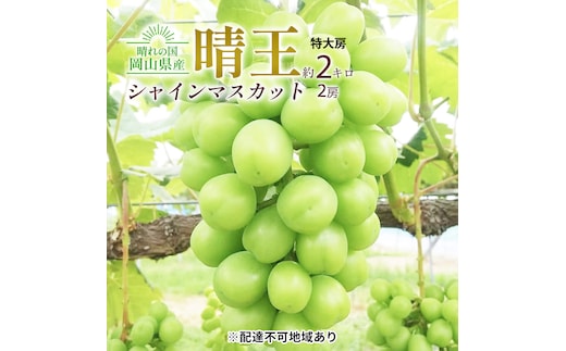 ぶどう 2026年 先行予約 シャイン マスカット 晴王 特大房 2房入り 合計約2kg 大粒 種無し ブドウ 葡萄 岡山県産 国産 フルーツ 果物 ギフト 橋田商店