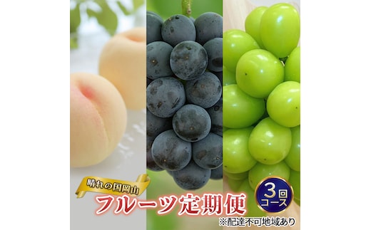 フルーツ 定期便 2026年 先行予約 晴れの国 岡山 の 定期フルーツ定期便 3回コース 桃 もも 葡萄 ブドウ 岡山県産 国産 セット ギフト