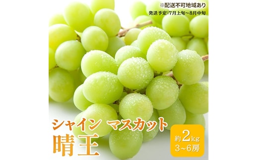 ぶどう 2026年 先行予約 シャイン マスカット 晴王 3房～6房 約2kg ブドウ 葡萄 岡山県産 国産 フルーツ 果物 ギフト シャインマスカット 美しい 大粒 種なし 弾力 高糖度 甘い
