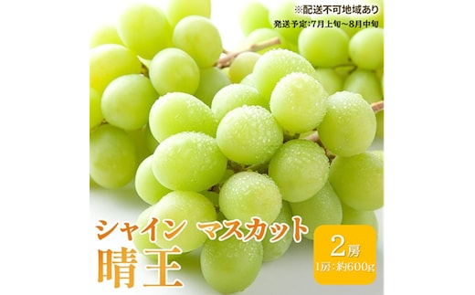 ぶどう 2026年 先行予約 シャイン マスカット 晴王 約600g×2房 ブドウ 葡萄 岡山県産 国産 フルーツ 果物 ギフト シャインマスカット 美しい 大粒 種なし 弾力 高糖度 甘い
