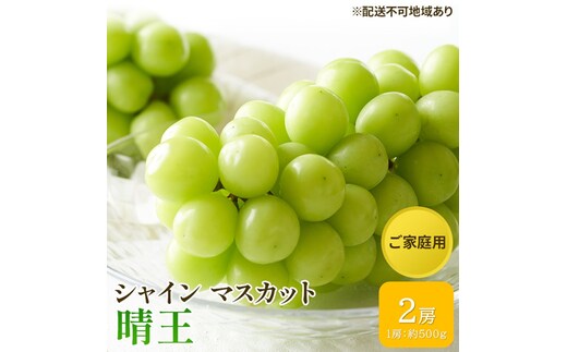 ぶどう 2026年 先行予約 ご家庭用 シャイン マスカット 晴王 約500g×2房 ブドウ 葡萄 岡山県産 国産 フルーツ 果物 太陽 美しい 外観 大粒 高糖度 種なし 皮ごと 弾力 食感 美味しい