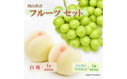 岡山県産 フルーツセット(シャインマスカット1房・白桃1玉) 果物 フルーツ 詰め合わせ ぶどう ブドウ 葡萄 シャインマスカット 桃 白桃 国産