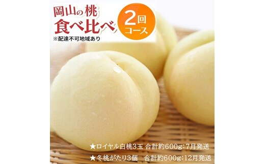 先行予約 晴れの国 岡山のフルーツ 定期便 2回コース 1回目ロイヤル白桃3玉 合計約600g／2回目冬桃がたり3個 合計約600g